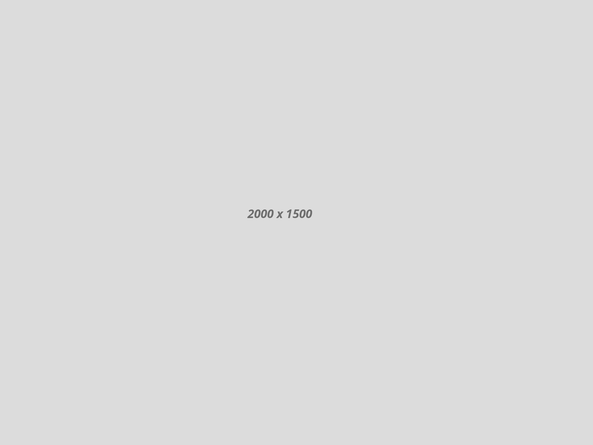 gray-convertible-car-isolated-white-vector